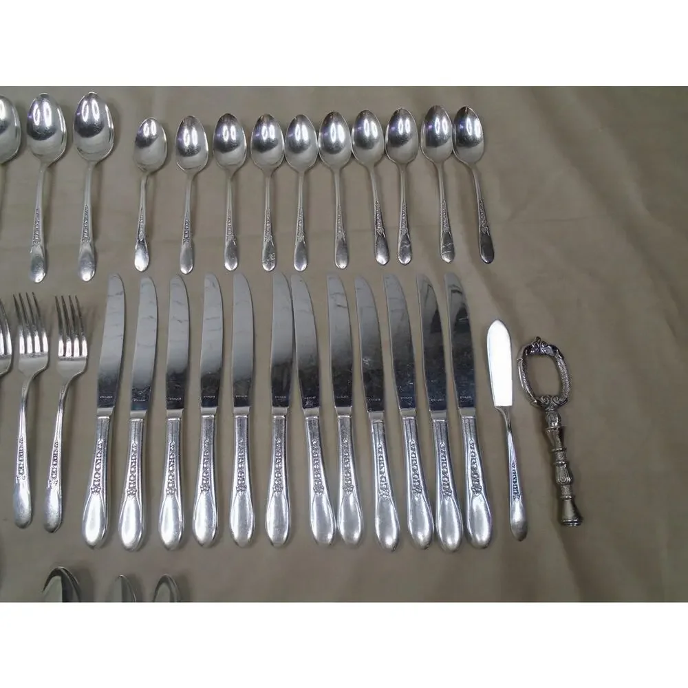 Vtg Original Wm Rogers Lady Ann Priscilla Silverplate Service 50 Pc